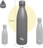 Insulated Water Bottles,25 oz Double Wall Stainless Steel Vacumm Metal Flask for Sports Travel,Gray - Image 4