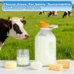 2 Quart (64 Oz) Glass Milk Bottle with Handle, Water Jug with Scale/Nut Milk Bag/Pour Spout/Airtight Lid, Reusable Carafe Container Pitcher for Milk, Tea, Juice, Coffee Beverage-1/2 Gal 1 Pack - Image 5