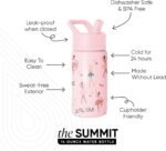 Simple Modern Kids Summit Water Bottle with Straw Lid | 14oz Stainless Steel Cup Insulated Tumbler for Toddlers, School | Pink Ballerina - Image 3