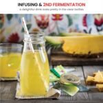 Bormioli Rocco Quattro Stagioni 13.5 Oz. Bottles (Set of 12) - Vacuum‑Seal Glass Canning & Beverage Bottles with Twist‑Top Lid - Clear Lead‑Free Glass for Jams, Sauces, Drinks & Gifts - Made in Italy - Image 3