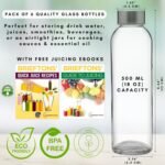 Brieftons Clear Glass Water Bottles With Caps: 6 Pack, 18 Oz Premium Soda Lime, Reusable Drinking Bottle, Sauce Jar, Juice Beverage Container, Kefir Kit, With Leakproof Lids and Cleaning Brush - Image 3