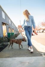 CamelBak Beck Water Bottle - Vacuum Insulated Stainless Steel - 20 oz. - Image 4