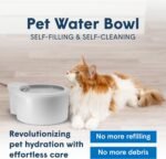 Always Full® 7” Cat Water Bowl and Bottle Pump Bundle, Self Refilling with Clean Filtered Water, App Enabled Smart Hydration Monitoring, Upgradeable System for Cats and Small Dogs - Image 4