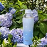 Bow Insulated Water Bottle for Women, 18 oz Stainless Steel Water Bottles, Double Walled, 2 Lids (Chug & Tumbler) - Hydrate & Caffeinate, Available Gift Wrapping - Image 4