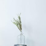 Dicunoy 1 Gallon Glass Jugs, 128 OZ Large Fermenting Jug with Seal Lid, Wine Growler Carboy Bottle with Handle for Juice, Milk, Water, Vinegar, Limoncello, Home Decoration, Change Jar - Image 9