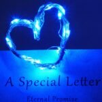 SmilingTown 12 Packs 20 LED Wine Bottle Lights with Cork - Silver Wire Fairy String Lights Battery Operated Cork Lights for Wine Liquor Bottle,Bedroom,Christmas,Birthday Party Decor(Blue) - Image 7