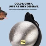 Malsipree 2-in-1 Portable Dog Water Bottle & Bowl for Small Dogs - Leak Proof & Insulating - Travel Water Dispenser - Stainless Steel Bottle & Silicone Bowl - Walking & Hiking (10 fl oz, Black) - Image 4