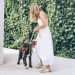 Dog Water Bottle with Food Container, Travel Puppy Water Bowl, Portable Pet Dispenser, Girl Dog Accessories Stuff Items Essentials Necessities for Yorkie Chihuahua Cat Walking and Hiking - Image 4