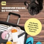 MalsiPree 2-in-1 Portable Dog Water Bottle and Travel Bowl for Small Dogs - Stainless Steel Dog Water Jug for Walking, Hiking, and Car Trips - Leak-Proof Dog Water Bottle Portable - 10oz Navy - Image 7