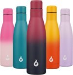 BJPKPK Insulated Water Bottle 17oz Stainless Steel Water Bottles Diashwasher Safe Reusable Metal Thermal Keep Cold and Hot,Charming Black Red - Image 2