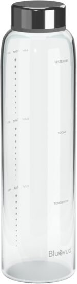 Bluevua Glass Water Bottle, 18 Oz High Borosilicate Glass with Time Marker, and Stainless Steel Leak Proof Lid, Compatible With RO100ROPOT-Travel Reverse Osmosis System - Image 2