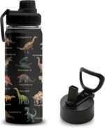 Dinosaur Gifts for Boys, 18 oz Stainless Steel Water Bottles with 2 Lids, Insulated Water Bottle with Straw, Dinosaur Cups for Travel Sports Outdoor, Birthday Christmas Gifts for Boys Dino Lovers - Image 2