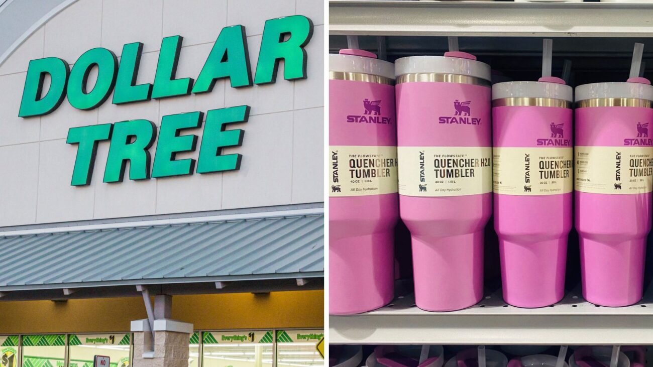 Dollar Tree Stanley Dupe is Just Like the Real Thing and Costs Only $5