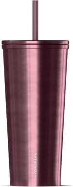 Hydrapeak Journey 25 oz Insulated Tumbler with Lid and Straw, Iced Coffee Cup, Reusable Stainless Steel Water Bottle Travel Mug, Gifts for Women Men, Rose Metalic - Image 2