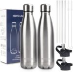 Insulated Water Bottle, 2 Pack-17oz Stainless Steel Water Bottles with straw lid, Metal Sports Water Bottles for Boys,Girls, Double Wall Vacuum BPA-Free Flask for School, Sports & Travel-Silver - Image 2