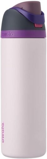 Owala FreeSip Insulated Stainless Steel Water Bottle with Straw for Sports, Travel, and School BPA-Free Sports Water Bottle, 24 oz, Dreamy Field - Image 2