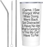 Personalized 20 oz Stainless Steel Tumbler with Lid and Straw - Funny Gift: 'I Came, I Saw, I Forgot What I Was Doing' - Image 2