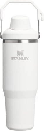 Stanley IceFlow 2.0 Fast Flow Tumbler with Handle 30 oz | Twist On Angled Spout Lid | Leakproof Water Bottle | Insulated Stainless Steel | BPA-Free | Frost - Image 2