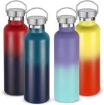 Volhoply 24oz Insulated Standard Mouth Water Bottle with Plastic & Stainless Steel Combination Lid Bulk 4 Pack, 304 18/8 Double Wall Vacuum Insulated Water Bottles, Reusable Metal Flask(Assorted,4) - Image 2