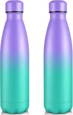 Volhoply 25oz Insulated Water Bottles 1/2/4 Pack, Double Wall Stainless Steel Vacuum Flask Keeps Cold & Hot, BPA Free Leakproof Bottle (Purple Green,2 Pack) - Image 2