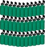Ziliny 72 Pcs Reusable Water Bottles Bulk 20 oz Squeeze Plastic Sports Water Bottles with Nylon Strap Leak Proof Blank DIY Cups for Travel Hiking Cycling Sport Event Team Gifts - Image 2