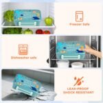 MAISON HUIS Bento Box for Kids with 8oz Soup Thermo, Insulated Lunch Bag & 17oz Water Bottle, 2-Compartment Bento Box with Built-In Ice Pack, Leak-Proof & BPA-Free - Image 5