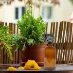 Cornucopia Brands 16oz Amber Glass Spray Bottles w/Reusable Chalk Labels (2 Pack), Heavy Duty Mist & Stream 3-Setting Sprayer; Great for Essential Oils - Image 6