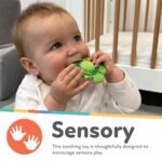 Nuby Teethe N' Pop Sensory Play Teether - Baby Teething Toy - 3+ Months - Turtle - Image 3