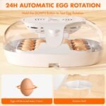 Upgraded Auto Digital Incubator, 16 Eggs Natural Incubation Simulator, Auto Egg Rolling and Water Fulfilling, 24H Temperature Control, with LED Egg Candler, Easy Newcomer Poultry Incubation - Image 4