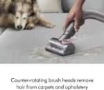 Dyson Ball Animal Total Clean Upright Vacuum, Corded, 290AW, Self-Adjusting Cleaner Head for All Floors, Homes with Pets - Image 5