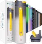 Elemental Iconic Stainless Steel Water Bottle with Straw - 20 oz Leak Proof Triple Wall Insulated Water Bottles for Travel and Sports - Reusable Gym Water Bottle with 2 Straws - Lightning Storm - Image 2