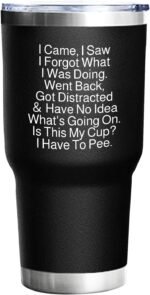 Tumbler I Came I Saw I Forgot What I Was Doing Tumbler Insulated for Hot and Cold Tumbler with Lids and Straws for Aunt for Office - Image 2